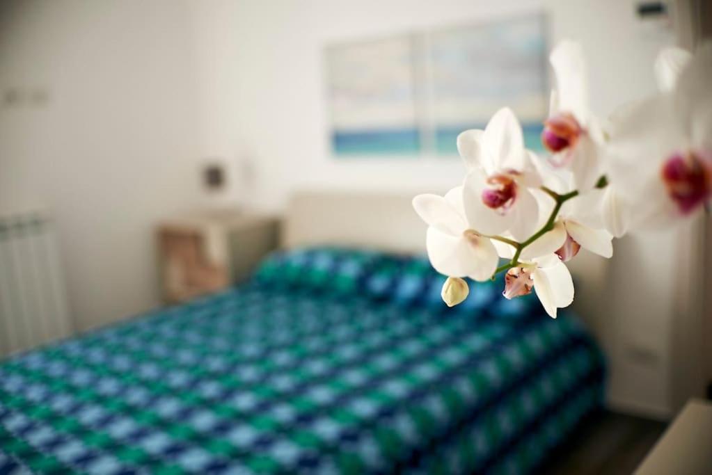 San Vito Apartament ポリニャーノ・ア・マーレ エクステリア 写真