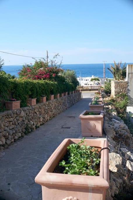 San Vito Apartament ポリニャーノ・ア・マーレ エクステリア 写真